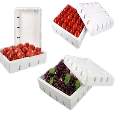Thermocol Boxes in Pakistan